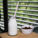 Fiesta Compostable Paper Straws Pink (250 Pack) Fiesta Compostable