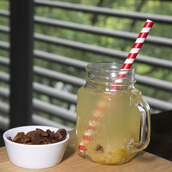 Fiesta Compostable Paper Smoothie Straws Red Stripes (250 Pack) Fiesta Compostable