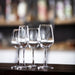 Olympia Mendoza Wine Glasses 455ml (6 Pack) Olympia