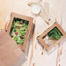 Fiesta Compostable Salad Boxes with PLA Windows 700ml (200 Pack) Fiesta Compostable