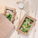 Fiesta Compostable Salad Boxes with PLA Windows 1600ml (200 Pack) Fiesta Compostable
