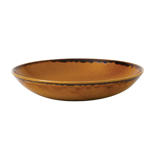 Dudson Harvest Evolve Coupe Bowls Brown 248mm (12 Pack) Churchill