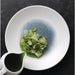 Churchill Isla Centre Print Deep Coupe Plates Topaz Blue 255mm (12 Pack) Churchill