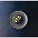 Churchill Stonecast Aqueous Grey Evolve Coupe Plates 10.25" (12 Pack) (Direct) Churchill