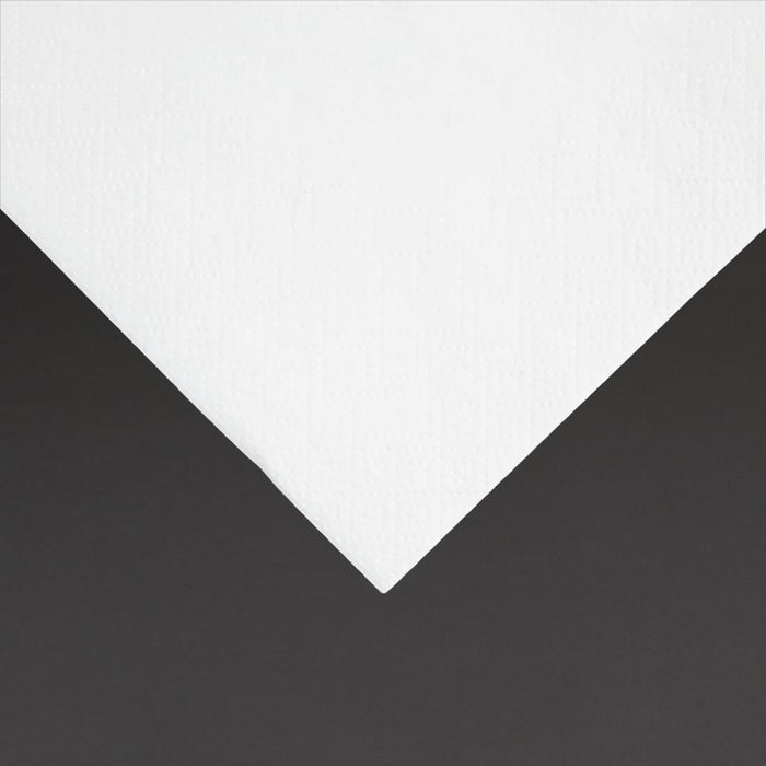 Fiesta Recyclable Cocktail Napkin White 24x24cm 2ply 1/4 Fold (4000 Pack) Fiesta Recyclable