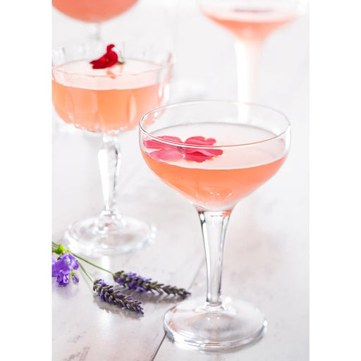 Utopia Moda Fully Toughened Coupe Glasses 210ml (12 Pack) Utopia