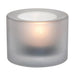 60(H)x82(Ø)mm. Pack Quantity: 12