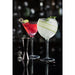 Utopia Hayworth Martini Glasses 300ml (6 Pack) Utopia
