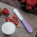 Hygiplas Palette Knife Purple 10cm Hygiplas
