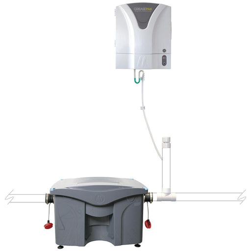 Biological drain maintenance system