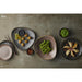 Churchill Stonecast Raw Evolve Coupe Plates Black 260mm (12 Pack) Churchill