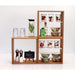 APS Window Buffet Stand 370 x 355mm APS