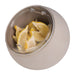 APS Moon Serving Bowl and Lid Grey 190mm APS