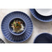 Olympia Corallite Plates Blue 205mm (6 Pack) Olympia