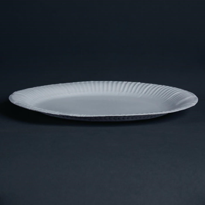 Paper Plates 229mm (1000 Pack) Poppies