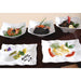 APS Global Melamine Dish 400mm APS