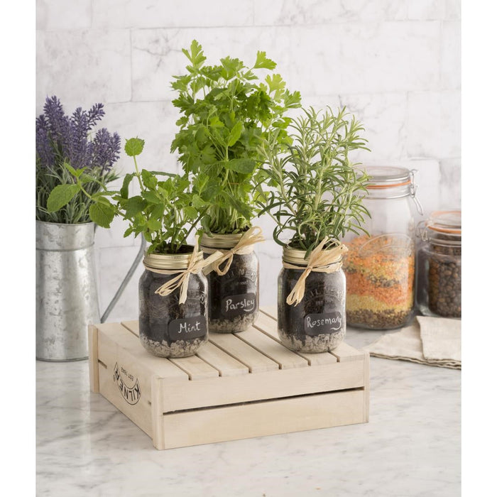 Kilner Screw Top Preserve Jar 500ml Kilner