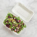 Vegware Compostable Bagasse Clamshell Hinged Meal Boxes 228mm Vegware