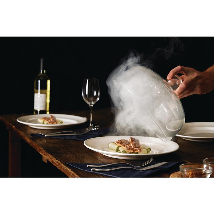 PolyScience Food Smoking Gun Polyscience