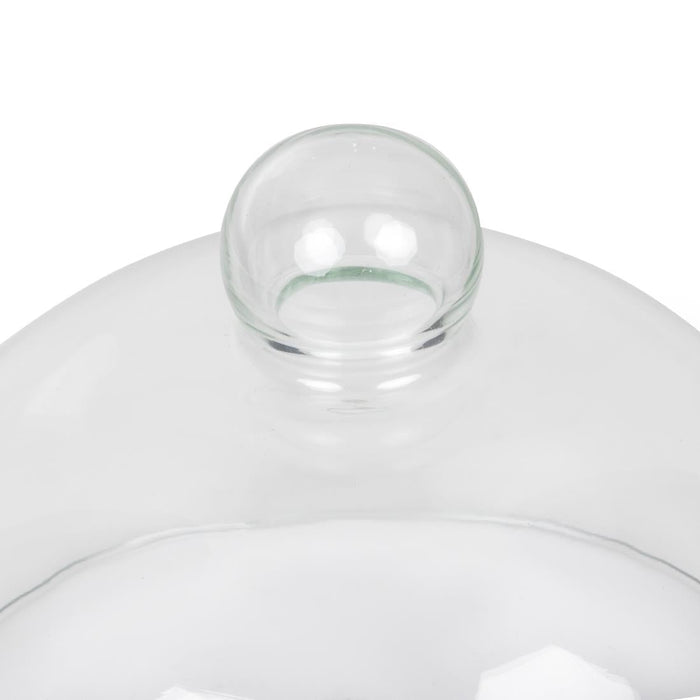 Glass Cloche 210mm Bia