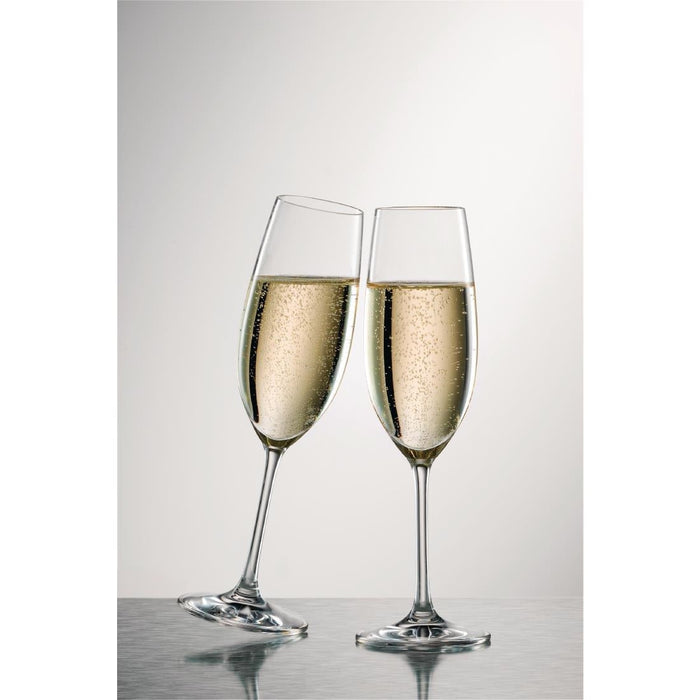 Schott Zwiesel Ivento Champagne flute 230ml (6 Pack) Schott Zwiesel