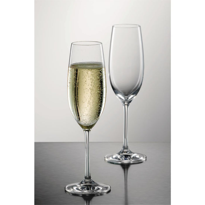 Schott Zwiesel Ivento Champagne flute 230ml (6 Pack) Schott Zwiesel
