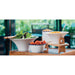 Olympia Large Enamel Soup Mugs 670ml (6 Pack) Olympia