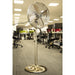 Status 16" Oscillating Antique Brass Stand Fan Status