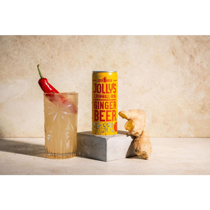 Jolly's Cornish Ginger Beer Cans 250ml (24 Pack) Jolly's