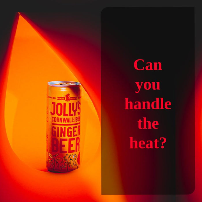 Jolly's Cornish Ginger Beer Cans 250ml (24 Pack) Jolly's