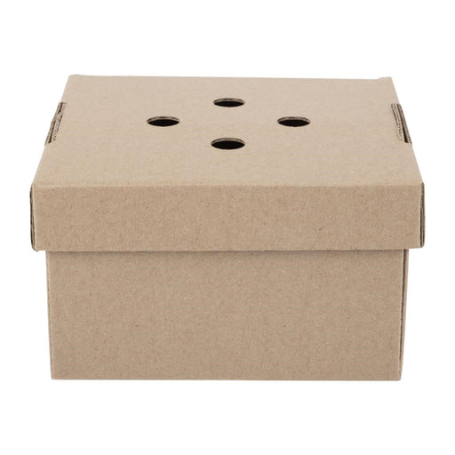 Fiesta Compostable Fold-Out Burger Boxes (100 Pack) Fiesta Compostable