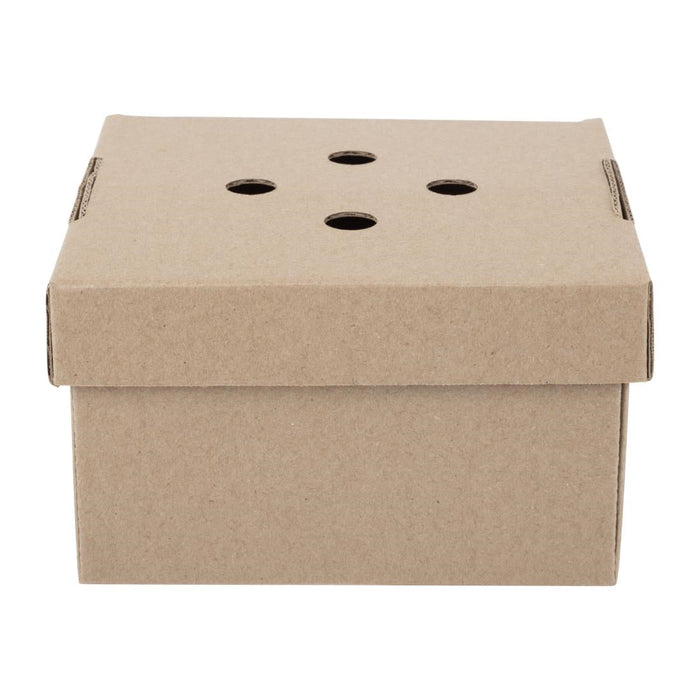 Fiesta Compostable Fold-Out Burger Boxes (100 Pack) Fiesta Compostable