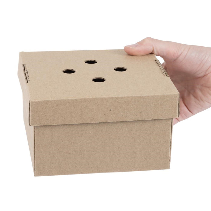 Fiesta Compostable Fold-Out Burger Boxes (100 Pack) Fiesta Compostable