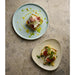 Churchill Stonecast Canvas Natural Lotus Plates 228mm (12 Pack) Churchill Super Vitrified
