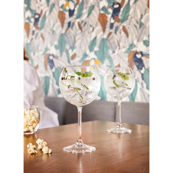 Arcoroc Vina Splendid Gin/Copa/Ballon Stem 580ml (24 Pack) Arcoroc