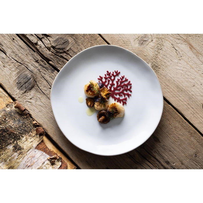 Olympia Raw Recycled Clay Natural Coupe Plates 220mm (6 Pack) Olympia