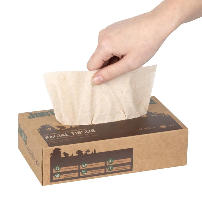 Jantex Green 100% Recycled Facial Tissues 100 Sheets (36 Pack) Jantex