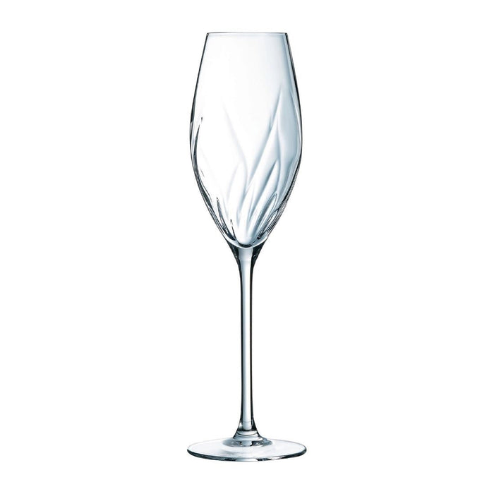 Cristal d'Arques Swirly Flute Glasses 240ml (8 Pack) Cristal d'Arques