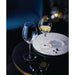 Chef & Sommelier Exaltation Wine Glasses 380ml (12 Pack) Chef & Sommelier