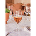Chef & Sommelier Evidence Wine Glasses 270ml (24 Pack) Chef & Sommelier