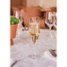 Chef & Sommelier Evidence Flute Glasses 160ml (24 Pack) Chef & Sommelier