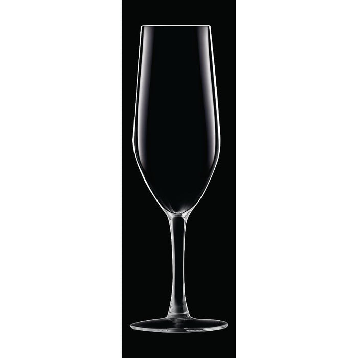 Chef & Sommelier Evidence Flute Glasses 160ml (24 Pack) Chef & Sommelier