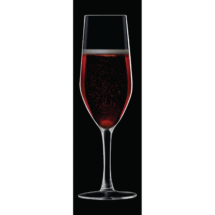Chef & Sommelier Evidence Flute Glasses 160ml (24 Pack) Chef & Sommelier