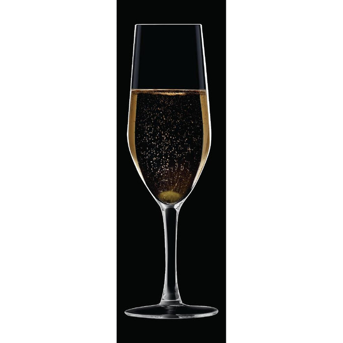 Chef & Sommelier Evidence Flute Glasses 160ml (24 Pack) Chef & Sommelier