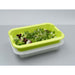 Scaritech Drainage Tray Anis Green 5Ltr Scaritech