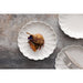 Olympia Bloom Scalloped Plates White 226mm (6 Pack) Olympia