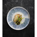 Churchill Lyra Blue Walled Plates 260mm (6 Pack) Churchill Super Vitrified