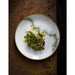 Churchill Stonecast Spice Barley White Coupe Plates 260mm (12 Pack) Churchill Super Vitrified