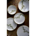Churchill Stonecast Spice Barley White Coupe Plates 260mm (12 Pack) Churchill Super Vitrified