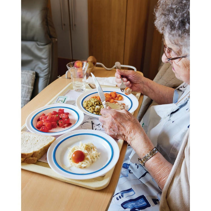 Autonomy Soup Dishes Blue Border 230mm (12 Pack) Arcoroc